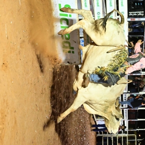 csf_6994.jpg